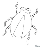 firefly Spausdinami Spalvinimo Puslapiai